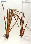 000050109-thumbnail.jpg