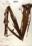 000050112-thumbnail.jpg