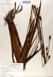 000050114-thumbnail.jpg