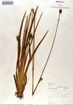 000050115-thumbnail.jpg