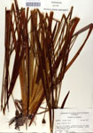 000050116-thumbnail.jpg