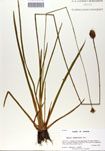 000050118-thumbnail.jpg