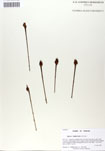 000050119-thumbnail.jpg