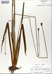 000050121-thumbnail.jpg