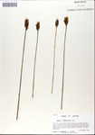 000050122-thumbnail.jpg