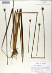 000050125-thumbnail.jpg