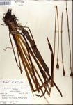 000050128-thumbnail.jpg