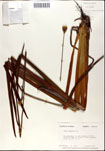 000050130-thumbnail.jpg