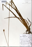 000050131-thumbnail.jpg