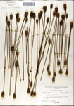 000050132-thumbnail.jpg