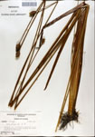 000050134-thumbnail.jpg