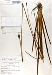 000050139-thumbnail.jpg