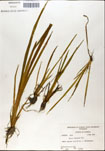 000050142-thumbnail.jpg