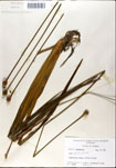 000050143-thumbnail.jpg