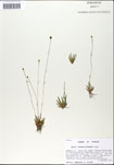 000050147-thumbnail.jpg