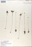 000050148-thumbnail.jpg