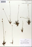 000050151-thumbnail.jpg