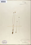 000050160-thumbnail.jpg