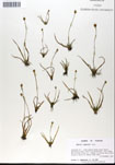 000050232-thumbnail.jpg