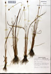 000050234-thumbnail.jpg