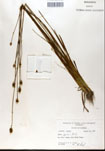 000050235-thumbnail.jpg