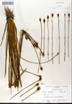 000050236-thumbnail.jpg