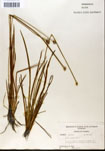 000050237-thumbnail.jpg