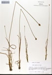 000050240-thumbnail.jpg