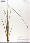 000050241-thumbnail.jpg