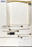 000050247-thumbnail.jpg