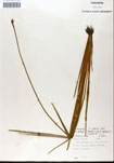 000050248-thumbnail.jpg