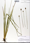 000050250-thumbnail.jpg