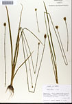 000050252-thumbnail.jpg