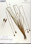 000050253-thumbnail.jpg