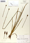 000050254-thumbnail.jpg