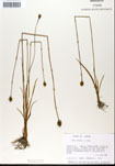 000050256-thumbnail.jpg