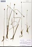 000050259-thumbnail.jpg