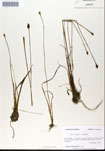 000050260-thumbnail.jpg