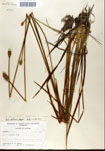 000050261-thumbnail.jpg