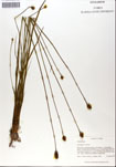 000050262-thumbnail.jpg