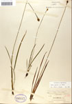 000050267-thumbnail.jpg