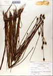 000050268-thumbnail.jpg