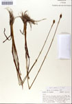 000050269-thumbnail.jpg