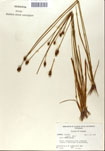 000050271-thumbnail.jpg