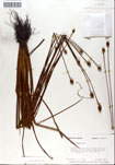 000050272-thumbnail.jpg