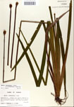 000050273-thumbnail.jpg
