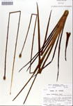 000050281-thumbnail.jpg