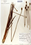 000050287-thumbnail.jpg