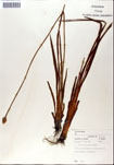 000050289-thumbnail.jpg