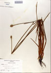 000050291-thumbnail.jpg